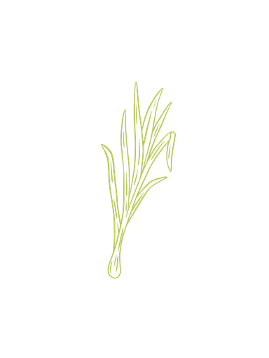 Lemongrass Huile Essentielle Bio